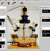   PNet-Fermenter